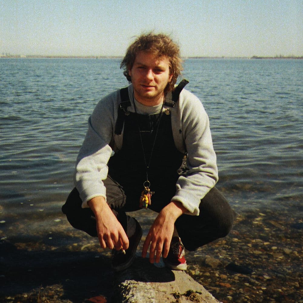 The Way You'd Love Her by Mac DeMarco